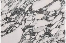 Marmol Blanco Arabescato Corchia Marmol Blanco Marmol Blanco