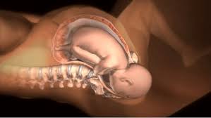 Parto crs next gen travel concierge. Como Es Un Parto Por Dentro Ecografia 4d Y Medicina Fetal Centro Gutenberg