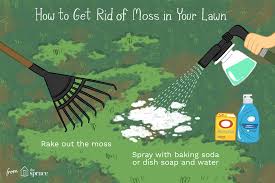 Leave things alone and embrace the moss as a natural ground cover, or fix the problem so that the grass grows better. How To Get Rid Of Moss In Lawns