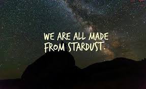 Stardust Kevin Kinge