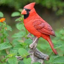 The vatican's criminal tribunal on saturday, july 3. Outdoor Cardinal Statue Wayfair