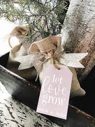 Tree Wedding Favor Kits Wedding Favor Tags Let Love Grow Saplings Gift Tags Custom Weddin Wedding Gift Favors Wedding Favor Gift Tags Tree Wedding Favors