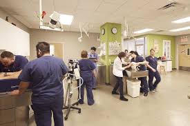 At middle valley animal hospital, we understand that your pets are an important part of your life. Juniper Valley Animal Hospital 64 14 69th Pl Middle Village Ny 11379