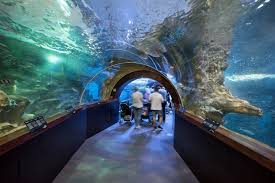 Vi ønsker gjerne at du registrerer deg for smittesporing før du besøker våre restauranter. Das Aquarium Von San Sebastian Baskenland Spanien
