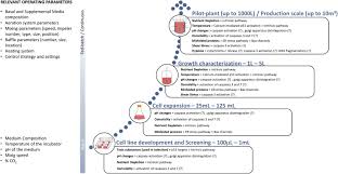 Check spelling or type a new query. Apoptosis A Mammalian Cell Bioprocessing Perspective Sciencedirect