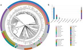 Image result for Striga baumannii