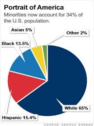 america race demographics pie chart bedowntowndaytona com