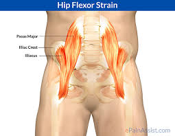 The hip flexor muscles bring your legs and trunk together in a flexion movement. An Annoying Nagging Pain For Runners Empire Unleashed