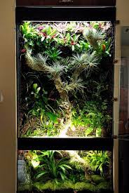 Rainforest Tank With Two Lights Sources Planted Aquarium Reptile Terrarium Vivarium
