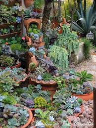 Pflanzen Garten Pinterest Succulents Garden Succulents And Garden Succulent Landscape Design Rock Garden Landscaping Succulents