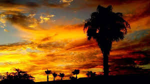 Arizona Photo of the Day