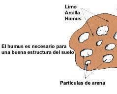 Imagen de Partículas de arena del suelo