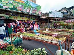 Pakej cameron highlands selama 3 hari 2 malam ini adalah antara pilihan yang paling popular di kalangan pakej cameron highlands adalah pilihan popular bagi percutian destinasi paling dekat untuk 1. Pasar Pagi Kea Farm Cameron Highlands Percutian Bajet