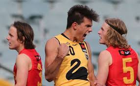May 21, 2021 · tempers boiled over late when marlion pickett hit brandon starcevich high, sparking a minor melee with the tigers utility placed on report. Senior Brandon Starcevich 2017 Bigfooty