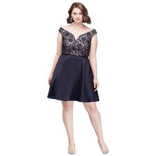 V Neck Bonded Lace Fit And Flare Plus Size Dress Style