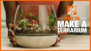 Read on to see how you can make a diy terrarium at home. How To Make A Terrarium The Home Depot Youtube