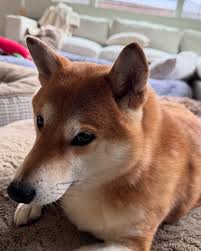 Life lately 😍 #lifestyle