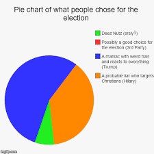 Pie Chart Of What People Chose For The Election Imgflip