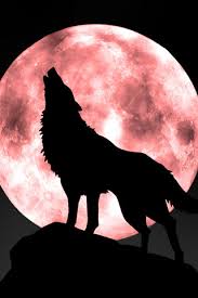 Check out this fantastic collection of pink wolf wallpapers, with 43 pink wolf background images for your desktop, phone or tablet. Night Of The Wolf Wallpapers For Iphone Itito Games Blog