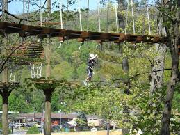 Our dedicated team of experts provide exceptional, compassionate care to the more than 1,800 animals that call our park home. Junior Course Tree Top Adventure Turtle Back Zoo Picture Of Turtle Back Zoo West Orange Tripadvisor