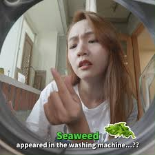 Did you find "seaweed"