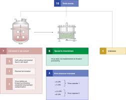 These are the most common types of pharmaceutical contamination and our experts' tips on how to avoid them. Viral Contamination In Biologic Manufacture And Implications For Emerging Therapies Nature Biotechnology