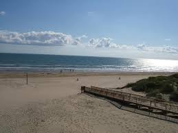 View deals for padre south hotel on the beach, including fully refundable rates with free cancellation. South Padre Island Beachfront Condo For Rent Has Waterfront And Cable Satellite Tv Updated 2021 Tripadvisor South Padre Island Vacation Rental