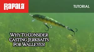 Rapala Husky Jerk For Walleye How To Fish