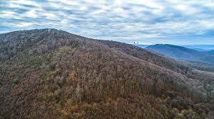 Van wikipedia, de gratis encyclopedie. A Zengo 682 Meteres Csucsara Epitenek Uj Hetszintes Kilatot A Mecsekben Csodalatosmagyarorszag Hu