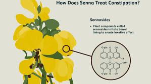 The us fda has classified the medicine. Senna Benefits Side Effects Dosage And Interactions