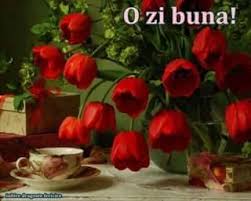 Cu toții ne dorim zile cât mai bune, mai frumoase și mai luminoase. Buna Dimineata Va Stefan Imagini Si Poezii De Suflet Facebook