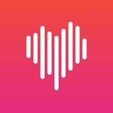 Application includes 28 versions in different languages: Dwell Audio Bible Apper Pa Google Play