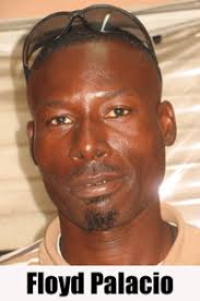 Something fishy in Seine Bight?