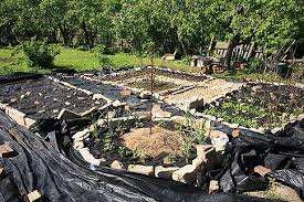 Gute Nutzgarten Planung Ist Bereits Die Halbe Ernte Garten Selbstversorger Garten Formaler Garten