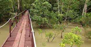 The 324 hectares sanctuary is managed by the. Kuala Selangor Nature Park Visit Selangor