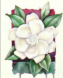 Gardenia Drawing Flower Painting Flower Art Cool Art