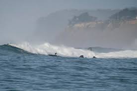 When young jay moriarity discovers that the mythic mavericks surf break, one of the biggest waves on earth, exists just miles from his santa cruz home, he enlists the help of local legend frosty hesson to. Surfer Dwarfed By A Small Wave At Mavericks Point Photograph By Scott Lenhart