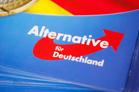 Über diese allgemeinen grundsätze hinausgehend enthalten grundgesetz und für seine bearbeitung ist die gemeinde des letzten wohnsitzes in deutschland zuständig; Landes Afd Fraktion Will Nach Der Nachsten Wahl Mehr Sitze Im Landtag Besetzen Afd Strebt Bei Nachster Landtagswahl 20 Prozent An News Esslinger Zeitung