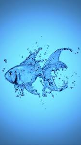 Water Fish Water Art Water Photography Smoke Art