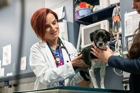Rose is attentive to special needs and has even taken one of my dogs to a doctor's appointment while i was out of town. Vca Tlc Pasadena Veterinary Specialty And Emergency 158 Photos 472 Reviews Veterinarians 1412 Huntington Dr South Pasadena Ca Phone Number