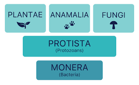What Are Fungi Herbarium Usu