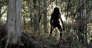 Hairy Creature Scares Three People Hairy Creature Scares Three People In Shiawassee County Michigan The Towns Folks Hear Creatures Scared Bigfoot Sightings