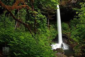 The trail of ten falls is named for, you guessed it, the no less than ten waterfalls you'll experience. Trail Of Ten Falls Hiking