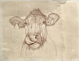 I feel like i'm drawing for the sake of. A Cow That Licks Mustache Realistic Drawings Of Flowers Stock Photo Picture And Royalty Free Image Image 103434116