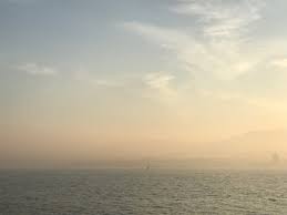 Regardless of whether you work in an industrial or office setting, common allergens and irritants may be closer than you realize. Smokey Skies Drastically Reduce Air Quality Across Parts Of Vancouver Island My Cowichan Valley Now