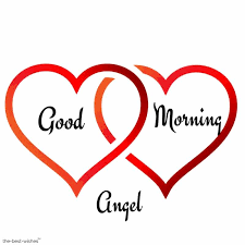 We did not find results for: 120 Best Good Morning Angel Images