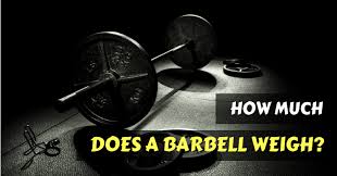 How Much Does A Barbell Weigh Quick List Of Barbells Weight
