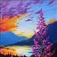 NEW Sunset Wildflowers