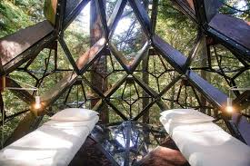 Une Incroyable Cabane Vitree Dans Les Arbres En Forme De Pomme De Pin A Louer Ou A Acheter Planete Deco A Homes World Maison Dans Les Arbres Pomme De Pin Cabane
