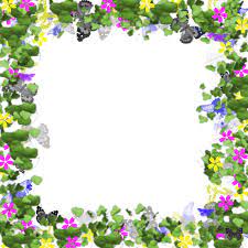 20 gambar kartun romantis islami yang bikin baper; Watercolor Floral Frame Transparent Png Bingkai Bunga Png Novocom Top